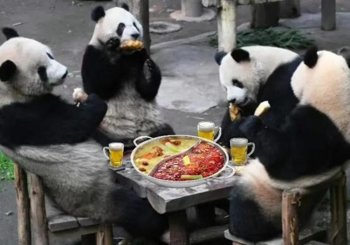 使用分享“天天重庆麻将怎么买挂!详细开挂教程