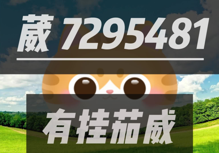 【 一 招 分 享 】 “ 麻 友 圈 有 啥 漏 洞 没 ( 确 实 真 的 有 挂 ) 【 一 招 分 享 】 “ 麻 友 圈 有 啥 漏 洞 没 ( 确 实 真 的 有 挂 )