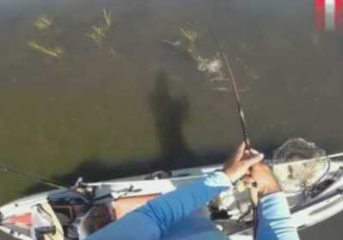 我来告诉你“大眼双扣(捕鱼）到底是不是挂”-详细教程