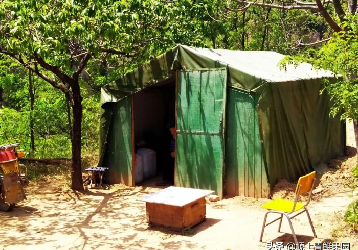 最新揭秘“微扑WPK德州有挂吗-原来真可以开挂