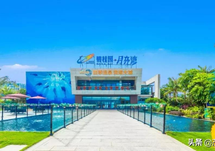 必备教程“手机自动麻将机必赢神器”其实真的确实有挂