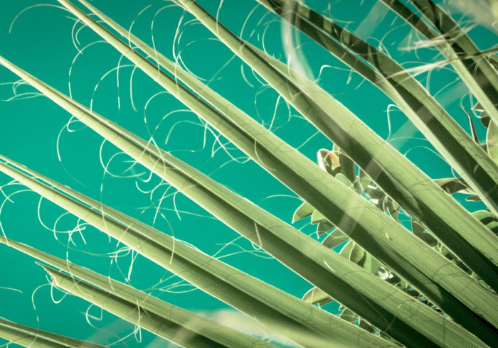 一分钟科普德州WPK俱乐部透视挂安卓”最新辅助透视详细教程